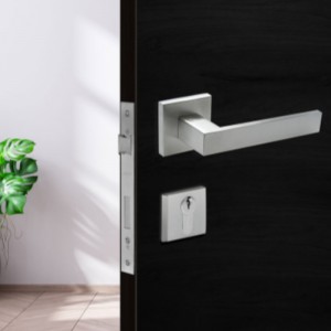 F5450 roestvrijstalen hendel instel, ingezette ingangshendelgreep vergrendeld