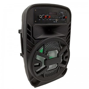 FB-PS1508 Bluetooth Party Speaker met LED