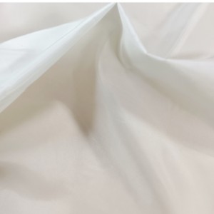 recycle polyester