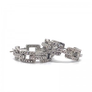 Europese en Amerikaanse mode roestvrij stalen zirkoon oorbellen (niet vervagen)