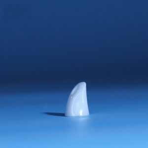 Zirconia keramische injectiedelen