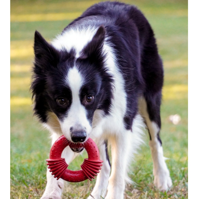 Furjoyz Extreme interactieve rubberen hond kauwen speelgoed