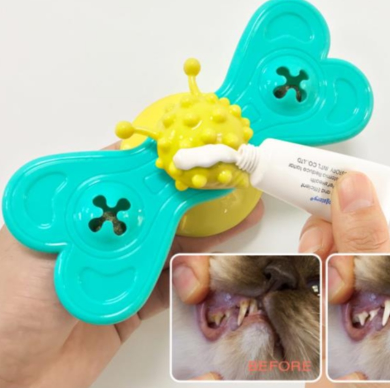 Kat windmolen speelgoed grappige massage roteerbare kat speelgoed met catnip bal tanden reiniging huisdier Producten