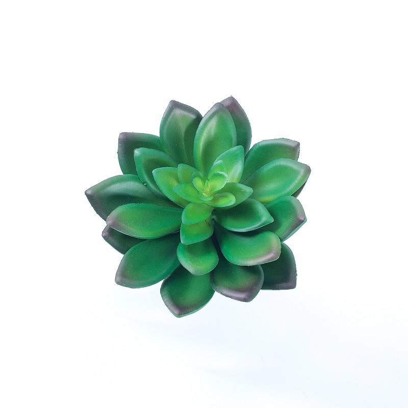 Mini-kunstmatige succulente planten