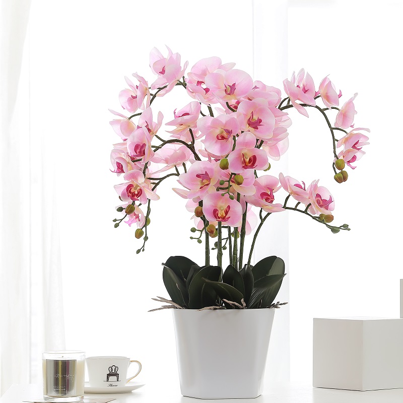 Echte raakt ingemaakte kunstmatige orchidee te koop