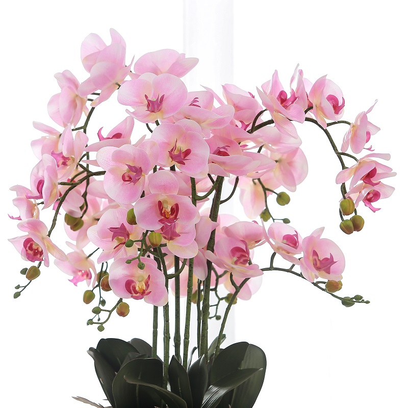 Echte raakt ingemaakte kunstmatige orchidee te koop