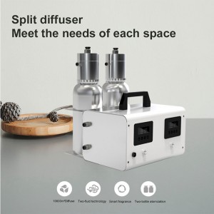DW-8000Double Verdering Hoofd Aroma Diffuser