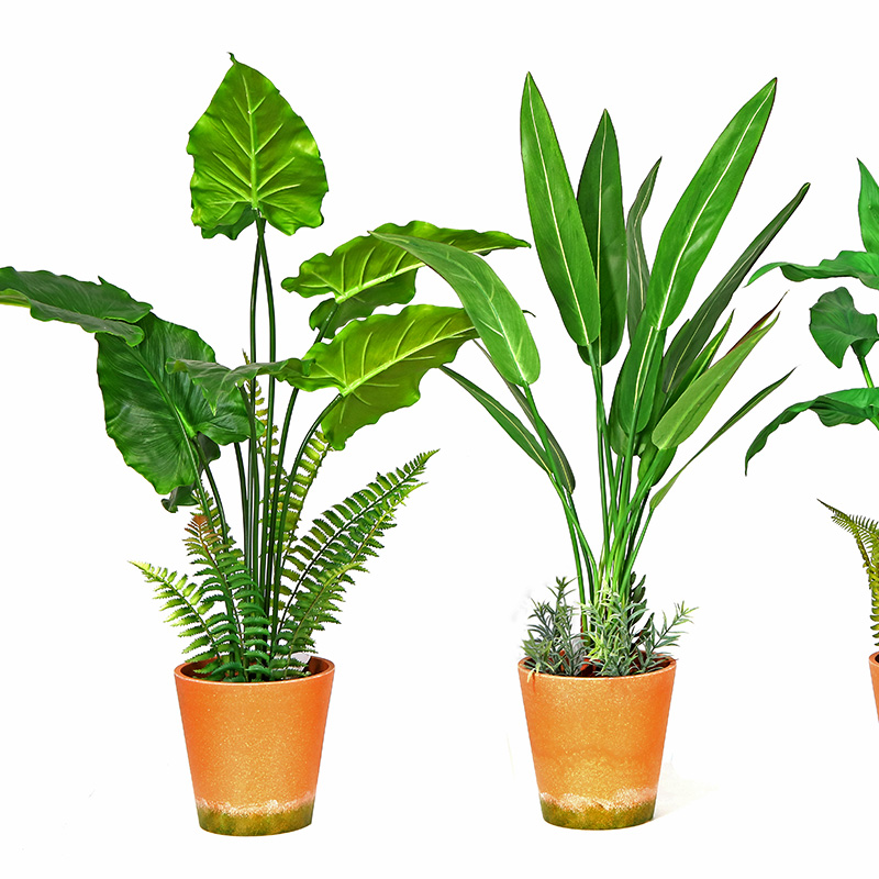 Hot Sale Factory Direct Supply Green Indoor Outdoor Thuis versieren ingemaakte groene plant