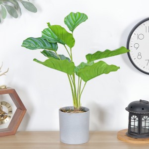Factory Direct Supply Hot Sale Artificial Green Decoratief met mooi uitziend en echt aangeraakt gevoel