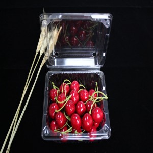 Clamshell voedselverpakking