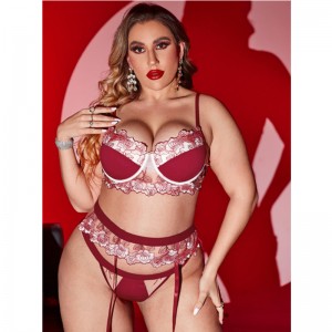 Sexy ondergoed bruids sluier uniform kant pure zoete verleiding sexy perspectief lingerie set
