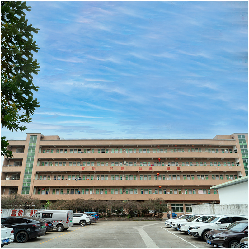 Hoe ziet een injectie-matrijfabriek eruit in uw ogen?