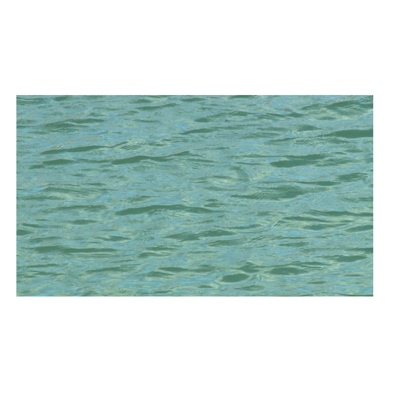 Ocean Safety Rescues Familie op opblaasbaar vlot