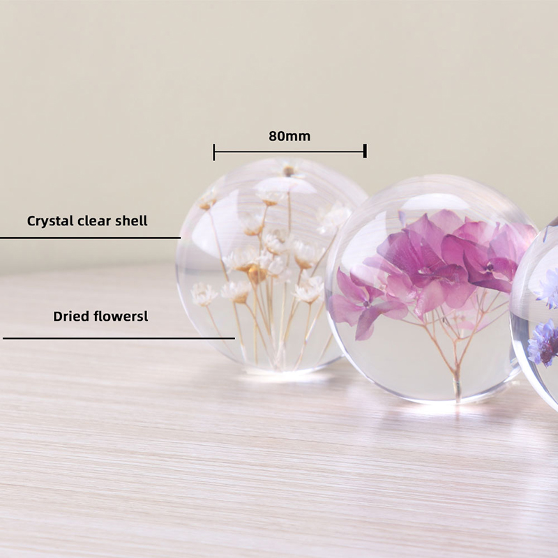 Aangepaste 3D 7cm 8 cm 9cm hars orb Natuurlijke bloemplant Real Dandelion Paperweight for Christmas Gifts Crystal Glass Home Decor