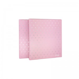 School A4 Size Plastic Lever Arch File Folder 3 O Ring Binder voor document