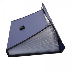 Uitbreidende map A4 Lettergrootte PP Plastic 13 Pockets Multi Pocket Organizer uitbreidbaar bestand