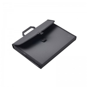 Uitbreidende map A4 Lettergrootte PP Plastic 13 Pockets Multi Pocket Organizer uitbreidbaar bestand