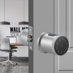 3005 Beveiliging Smart deurslot, vingerafdrukdeurslot sleutelloos, toegangsdeurslot met toetsenbord Smart Door Knob