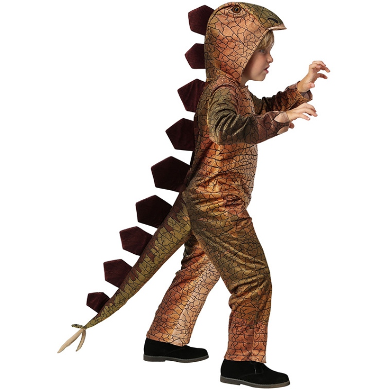 Dinosaur -jumpsuitfotografie van kinderen voor kinderen Amazon Stegosaurus Cosplay kostuum