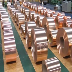 C5191 C5210 PHOSPOR BRONZE LEIDY SERIE