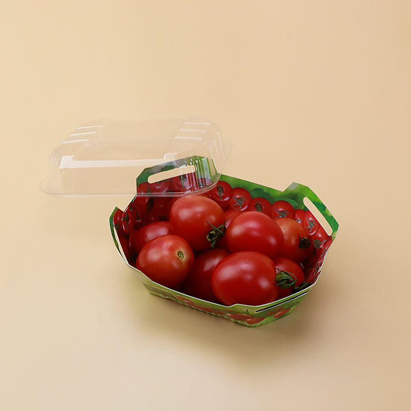 Aangepaste plastic kartonnen dozen voor fruit punnet verpakkingscontainer met deksel