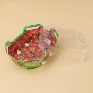 Aangepaste plastic kartonnen dozen voor fruit punnet verpakkingscontainer met deksel