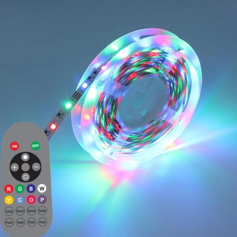 12V Smart Control Indoor Decoratie Waterdicht SMD 5050 LED RGB Strip Lights