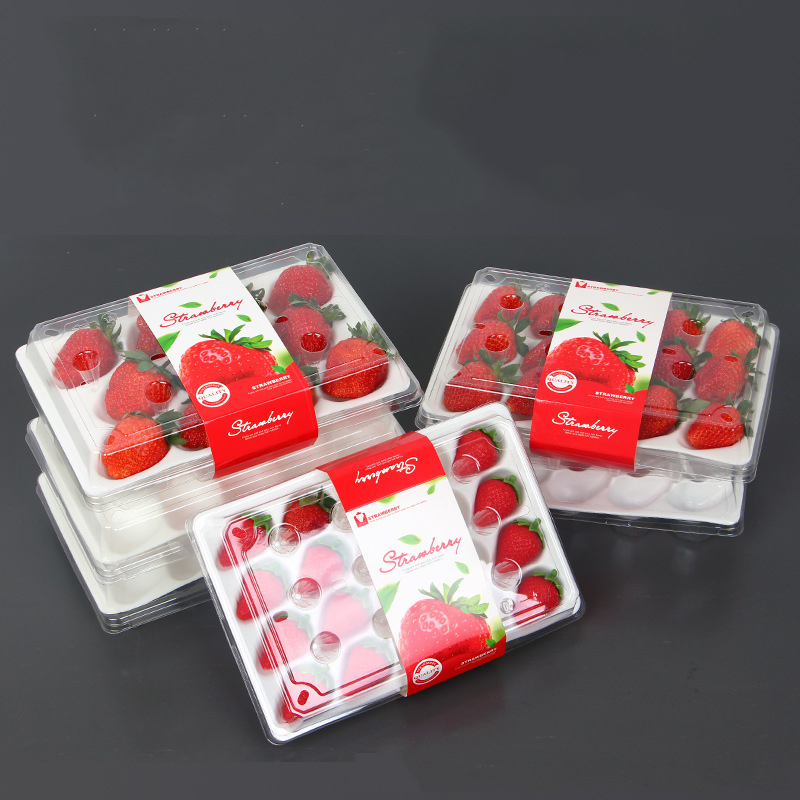 Aardbeiendoos (20 aardbeien) 225*120*40 mm cm-20