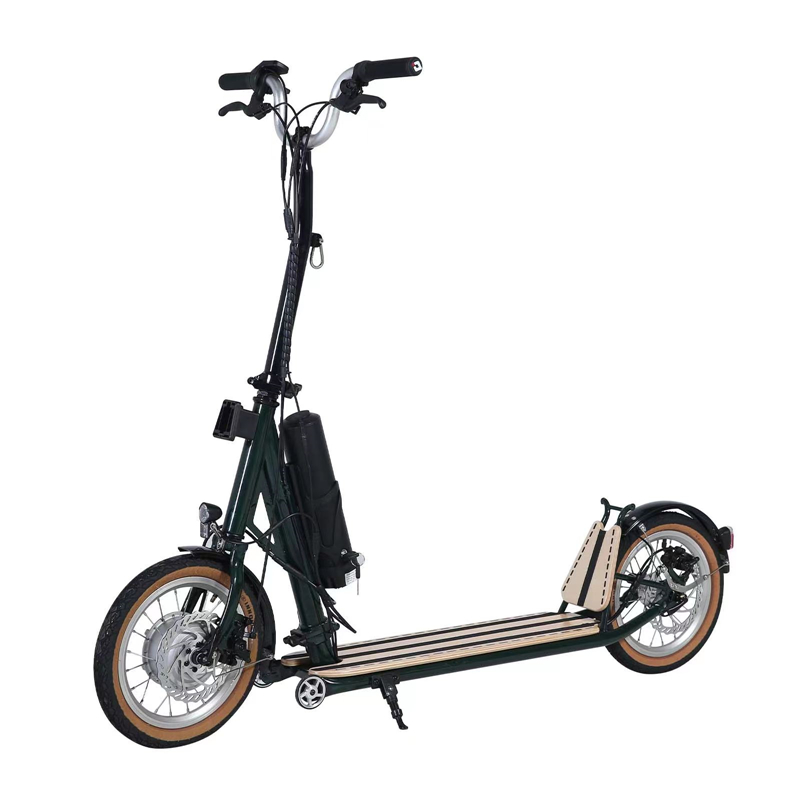 H10- 14 inch dubbele vouwmachanisme elektrische scooter