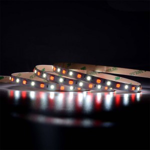 5050 60leds/m RGBW LED -strip