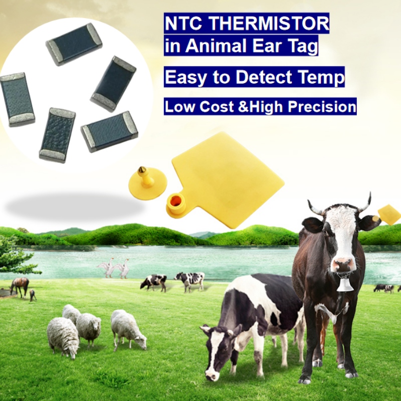 NTC Thermistor Temperatuursensor bij intelligente fokken van dieren oortag