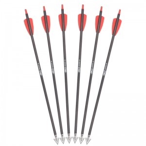 15 inches rx kruisboogbouten met roestvrijstalen breedhoofdjes