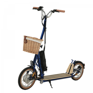 H10- 14 inch dubbele vouwmachanisme elektrische scooter