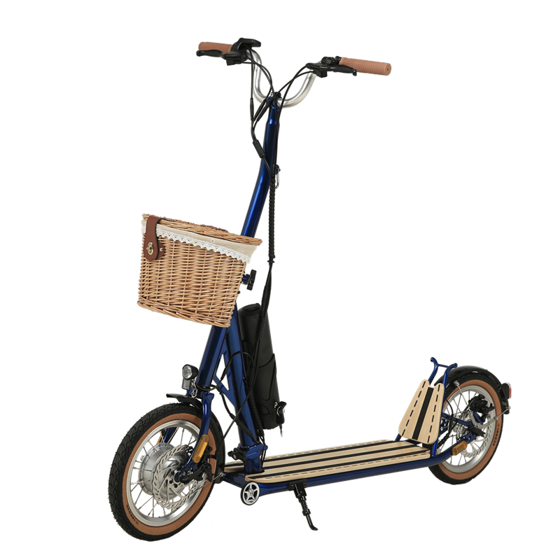 H10- 14 inch dubbele vouwmachanisme elektrische scooter