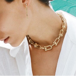 Dikke ketting ketting vrouwelijk Europa en de Verenigde Staten ins Light luxeniche hoefijzer buckle sleutelbeen ketting