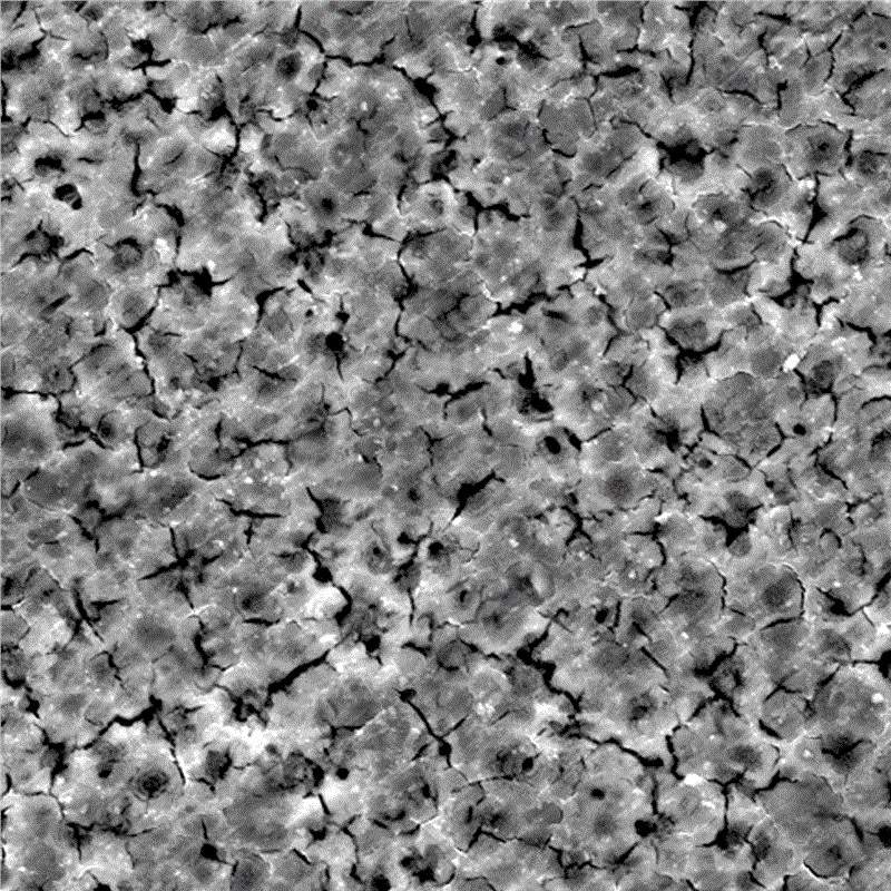 Spuittechnologie van magnesiumlegering