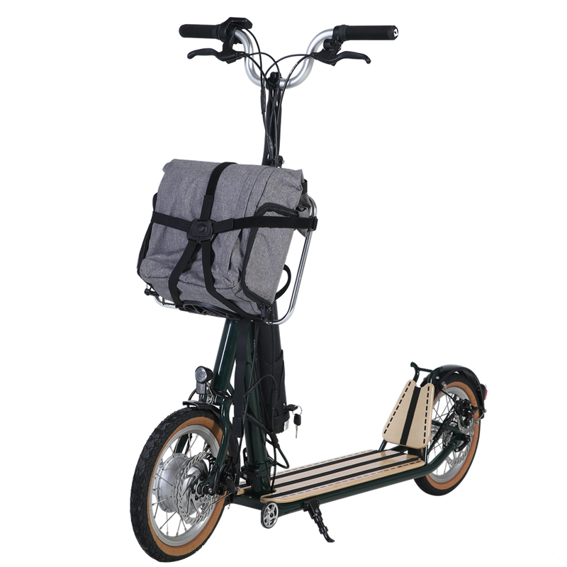 H10- 14 inch dubbele vouwmachanisme elektrische scooter