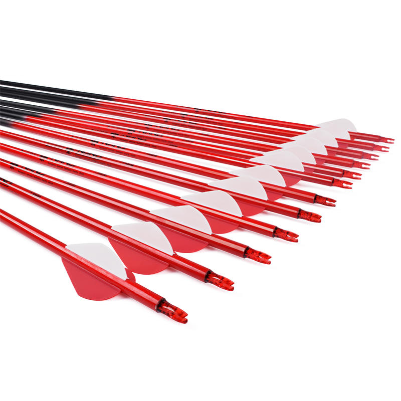 Boogschietpijlen voor schieten op het doelwit