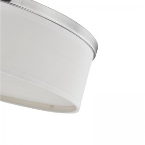 Staybridge Suites Hotel plafondlamp met geborsteldenikkelafwerking in de kamer en de gang