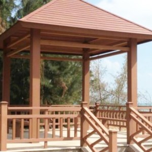 Plastic extrusievorm met PE -houten uit Huangshi City