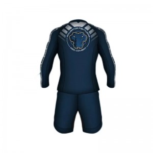 Factory Direct Sales goed uitziende Kingz Chlorine Resistant Rash Vest For Man Fashion Rash Vest Rash Guard voor BJJ