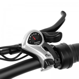 20 inch dikke band elektrische fiets