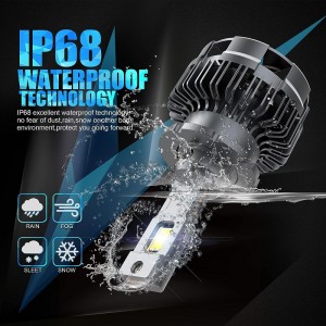 D4S/r LED -koplampen Bollen