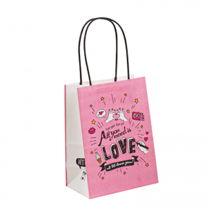 Handpapier zak papier kraft tas papieren tas cadeau met bolsa\'s aangepaste afdruk papieren zak