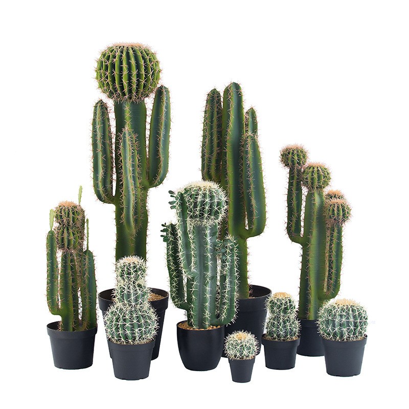 Hoogwaardige aangepaste decoratieve groot formaat faux cactus kunstmatige cactusplanten