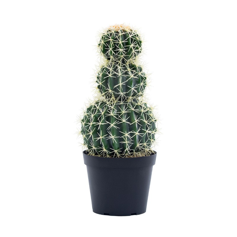 Hoogwaardige aangepaste decoratieve groot formaat faux cactus kunstmatige cactusplanten