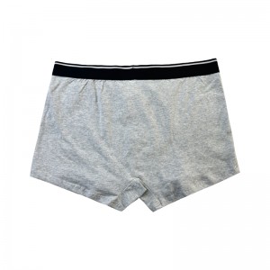 Pas gewone kleur ondergoed Mode aan