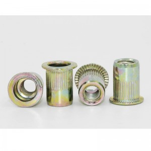 zink-gekleurd geplateerde verzonken kop geklonken moer