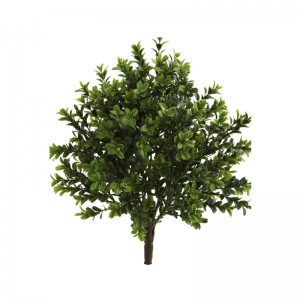 Echte touch-palnten(binnen&openlucht-)