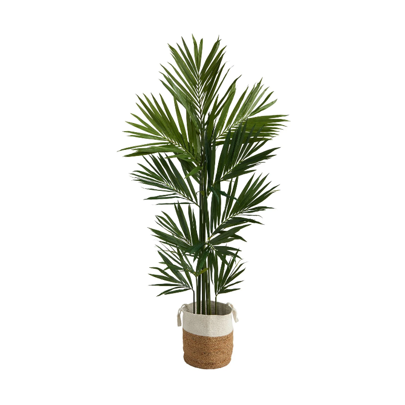 Decoratieve planten